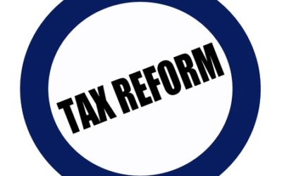 The Skinny on Tax Reform and Action Plan