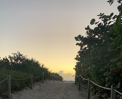 Beautiful sandy path at sunset